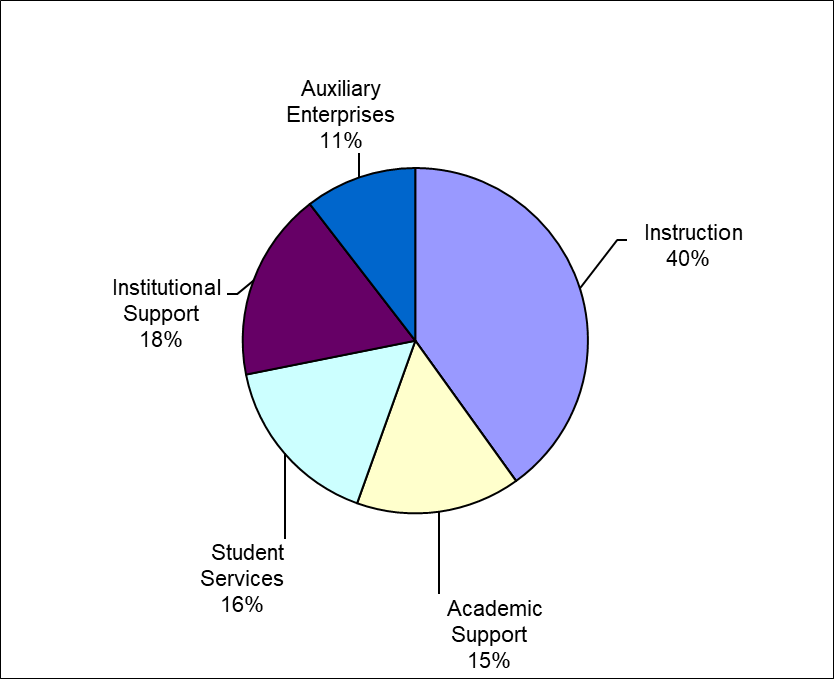 Pi chart describing 2019-20