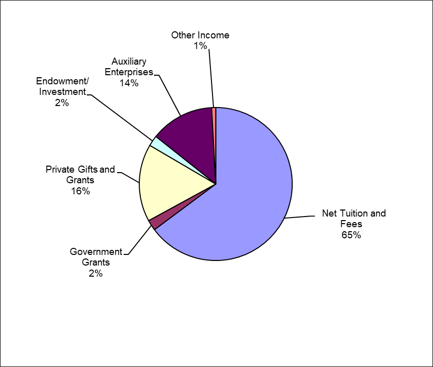 Pi chart describing 2019-20's revenues & other additions